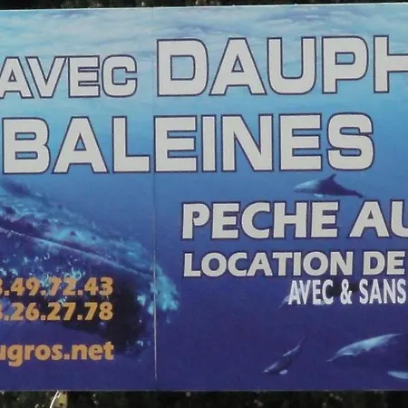 Terrace Front & Sea View Cannes