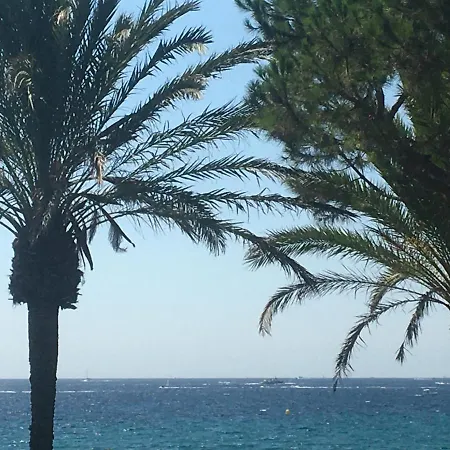 Sea Front Terace Iland View Parking Ac Wifi 戛纳