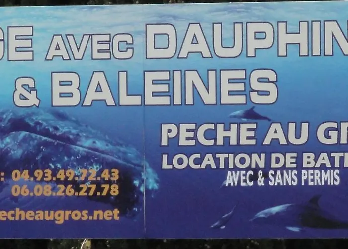 Terrace Front & Sea View 칸느