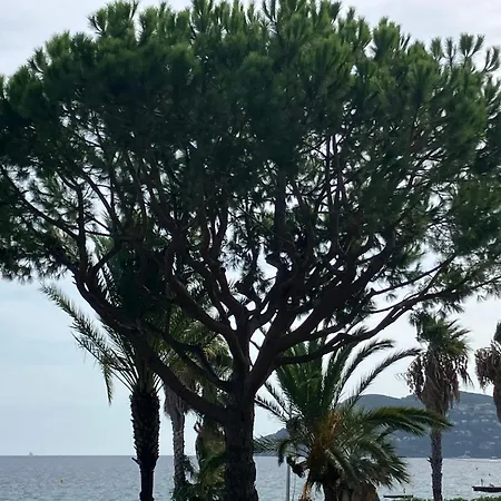 Terrace Front & Sea View קאן