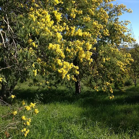 Terrace Front & Sea View קאן